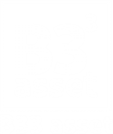B33 Asset